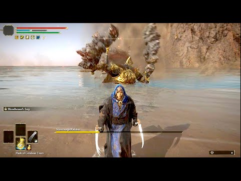 &quot;Radahn killed himself in the ocean&quot; Elden Ring | cheese Kill